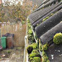 All Seasons Gutter Cleaning image 1